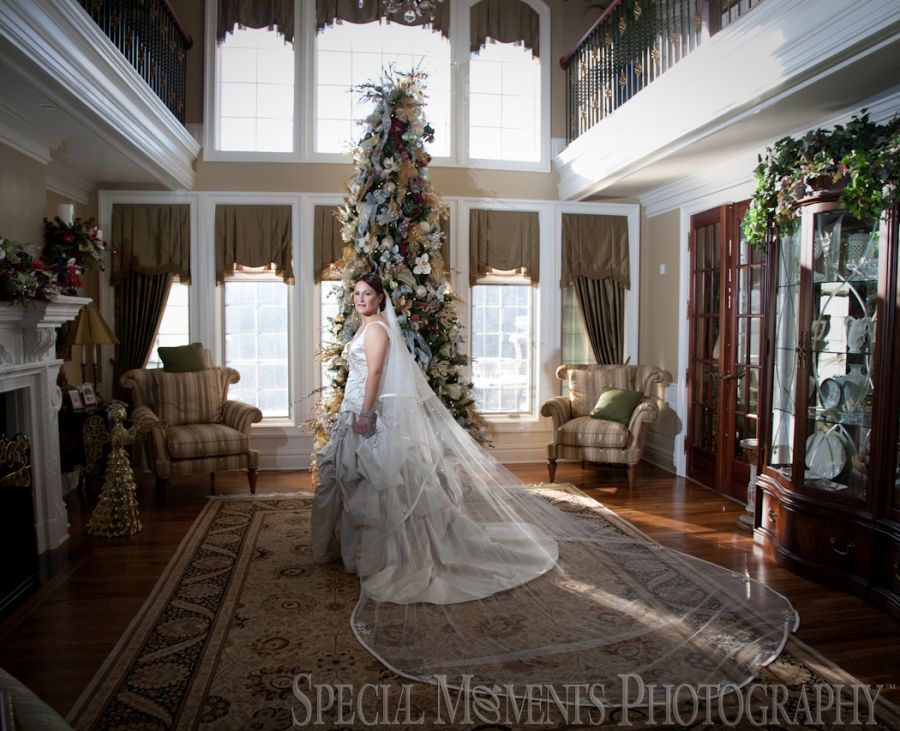 St. John's Resort Plymouth MI wedding photograph