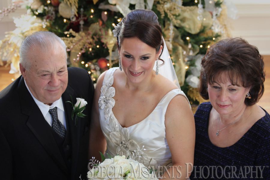 Penna's Sterling Heights MI wedding photograph
