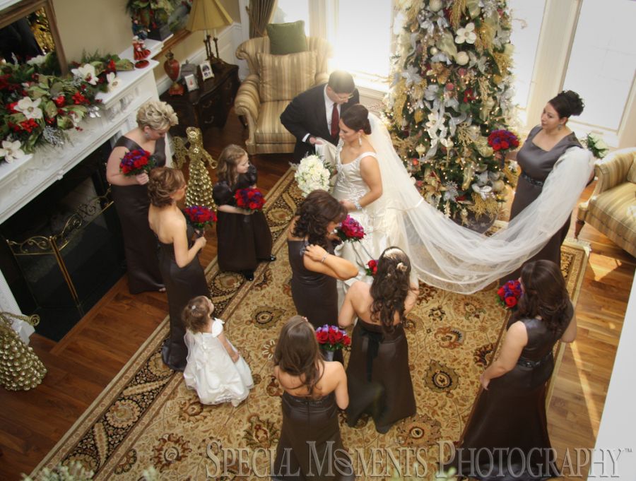 Penna's Sterling Heights MI wedding photograph