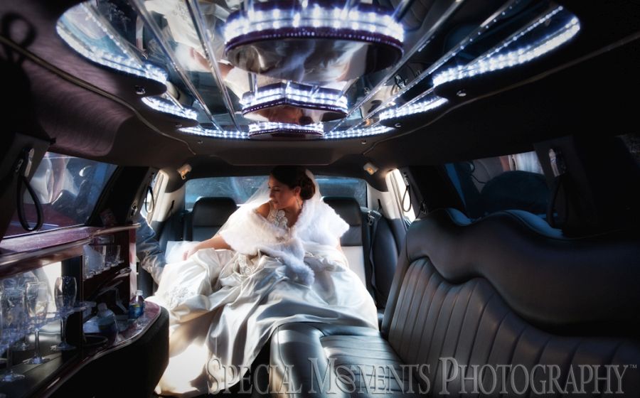 St. John's Resort Plymouth MI wedding photograph