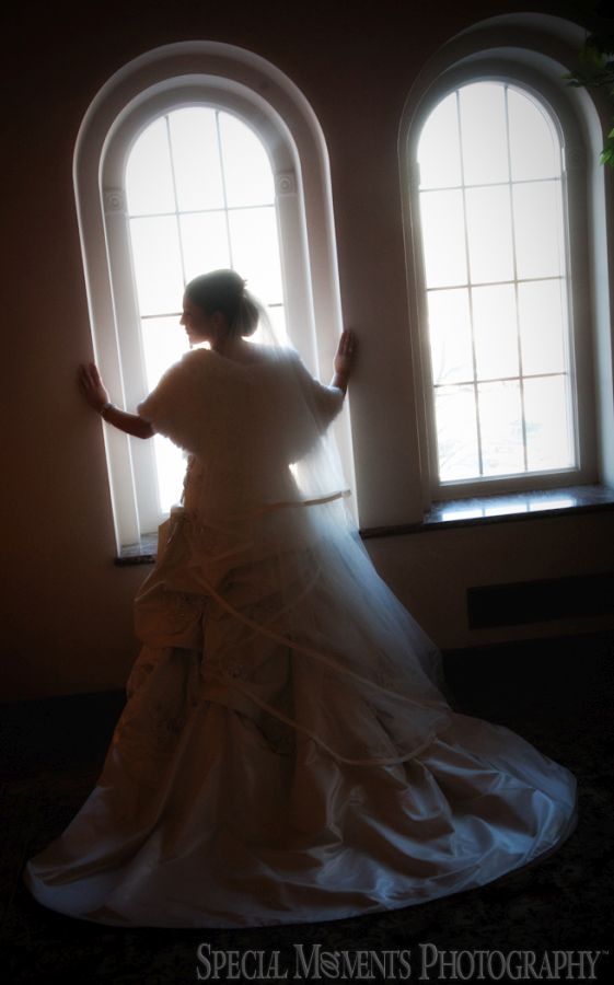 St. John's Resort Plymouth MI wedding photograph