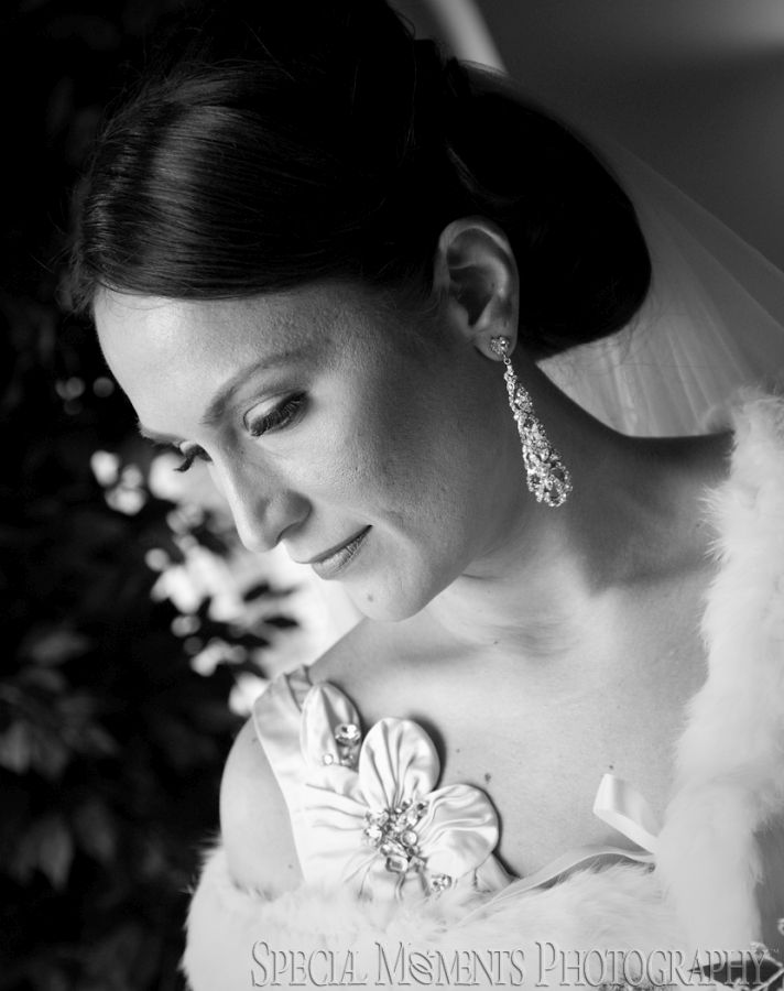 St. John's Resort Plymouth MI wedding photograph