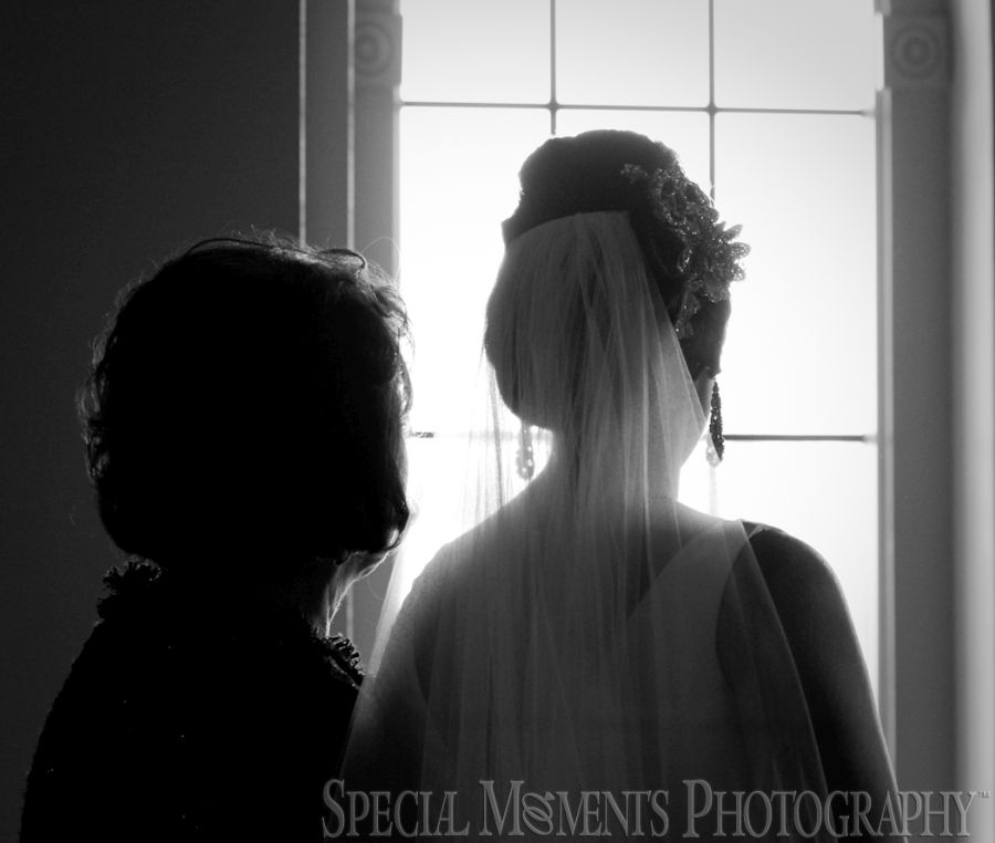 St. John's Resort Plymouth MI wedding photograph