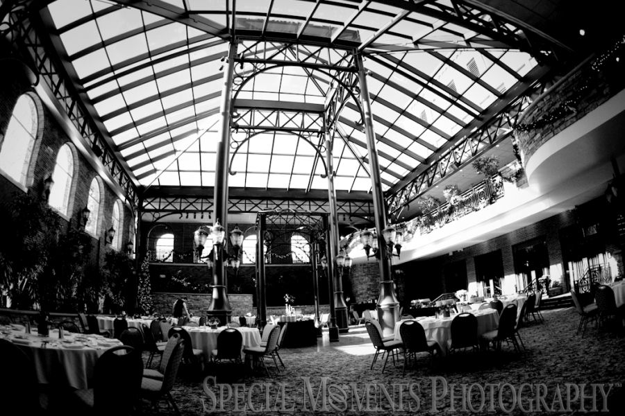 St. John's Resort Plymouth MI wedding photograph