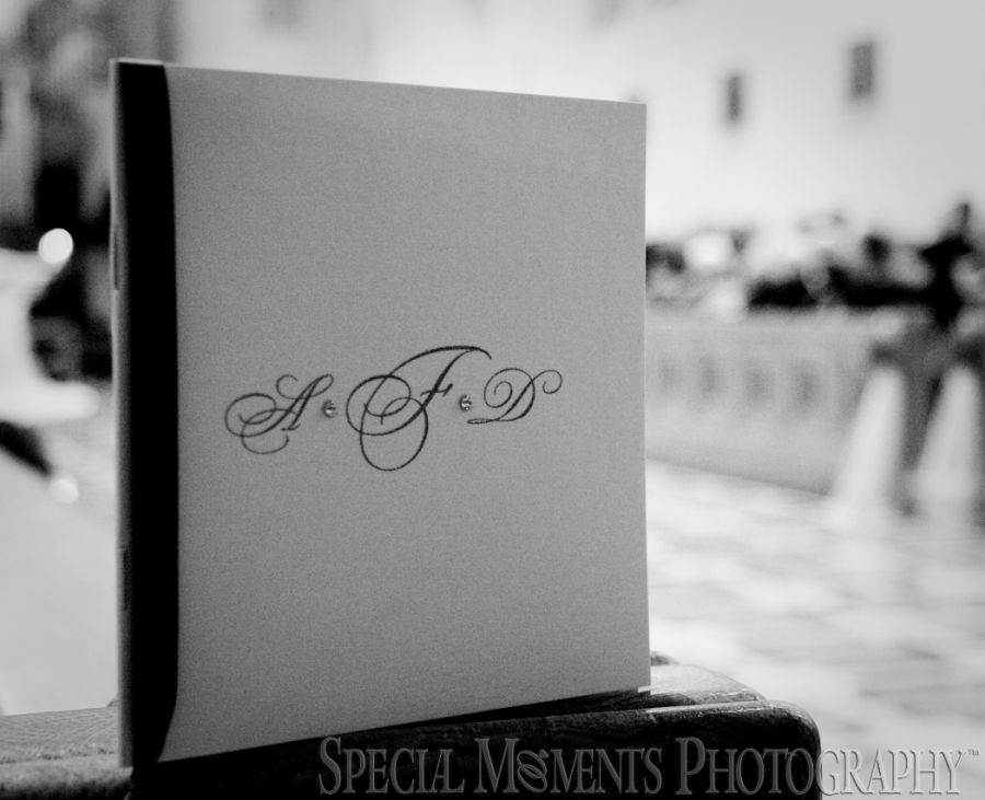 St. John's Resort Plymouth MI wedding photograph