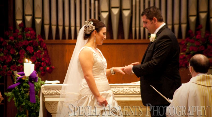 St. John's Resort Plymouth MI wedding photograph