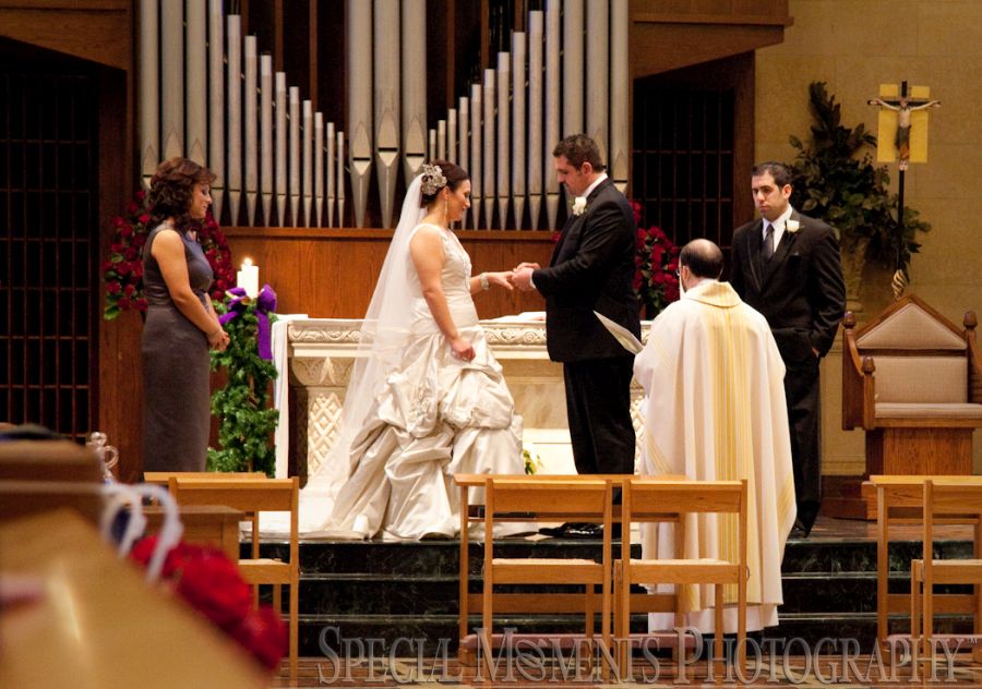 St. John's Resort Plymouth MI wedding photograph