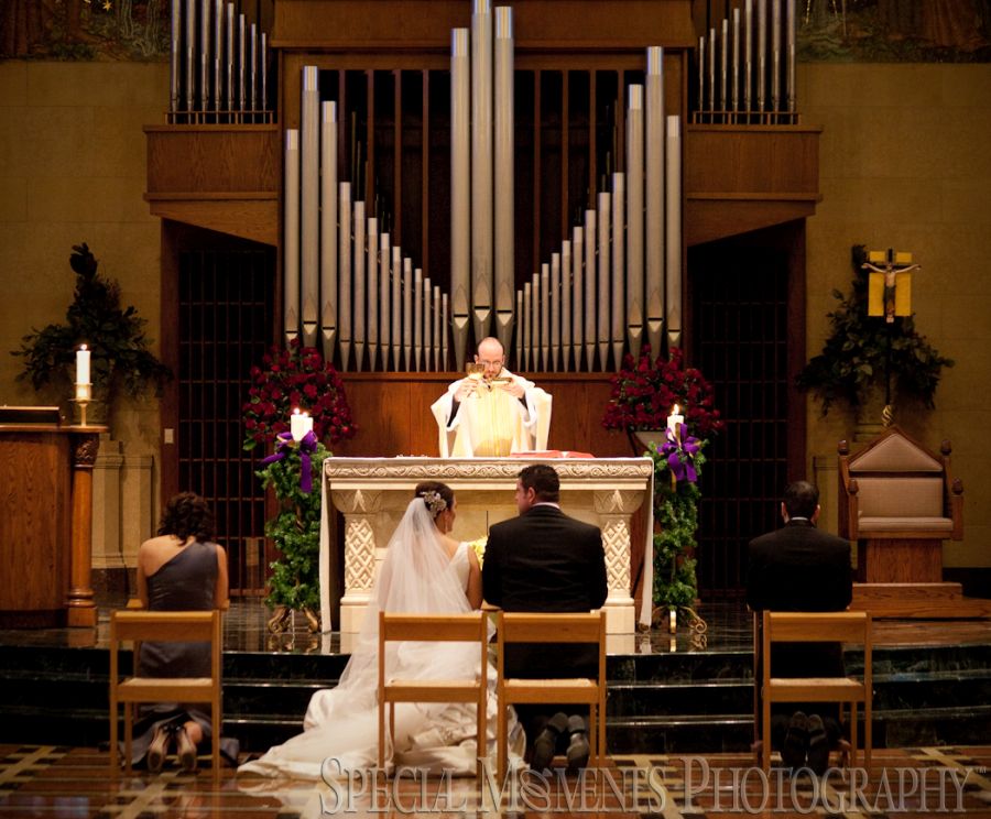 St. John's Resort Plymouth MI wedding photograph