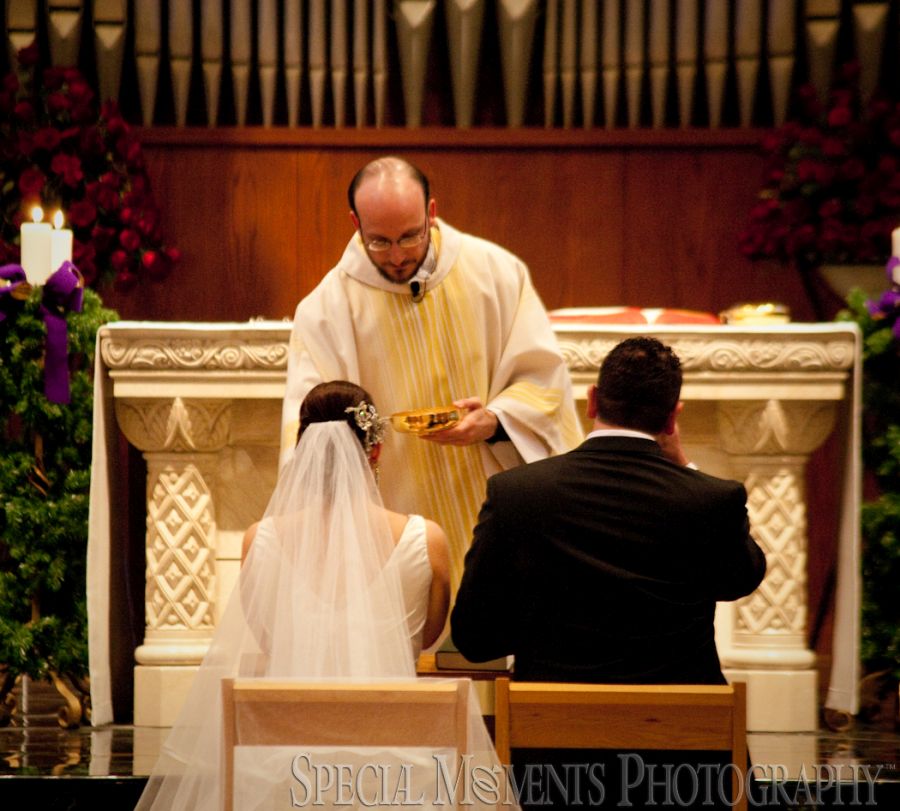 St. John's Resort Plymouth MI wedding photograph