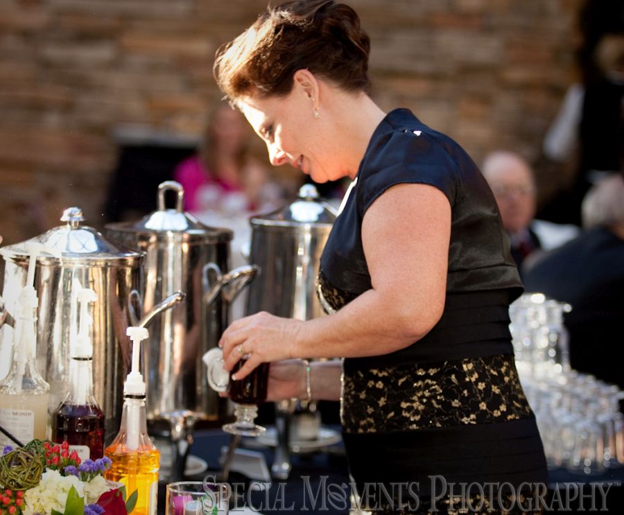St. John's Resort Plymouth MI wedding photograph
