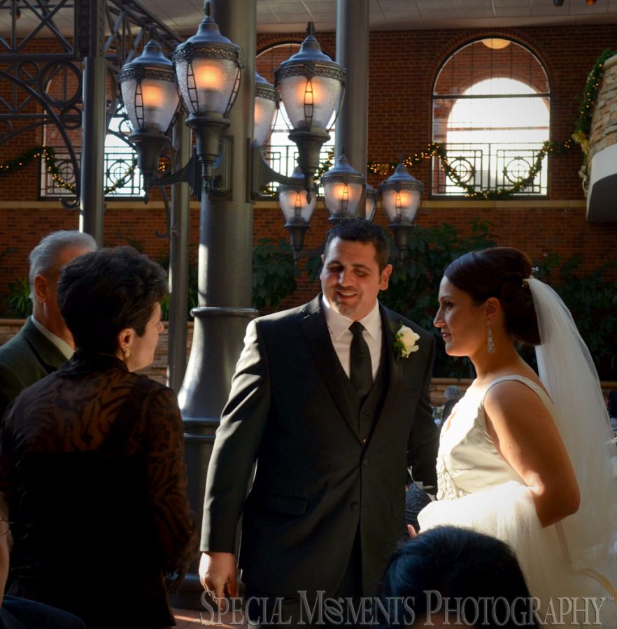 St. John's Resort Plymouth MI wedding photograph