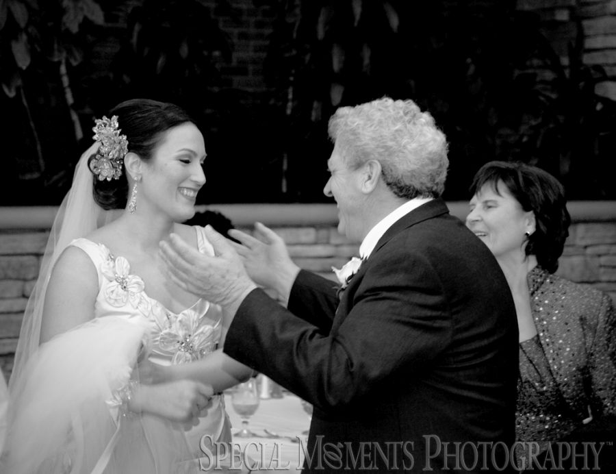 St. John's Resort Plymouth MI wedding photograph