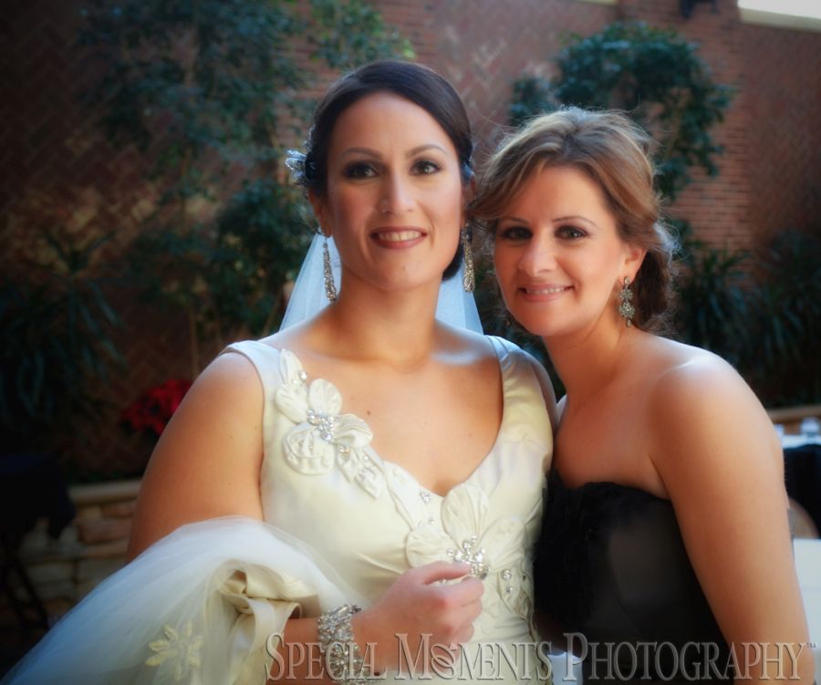 St. John's Resort Plymouth MI wedding photograph