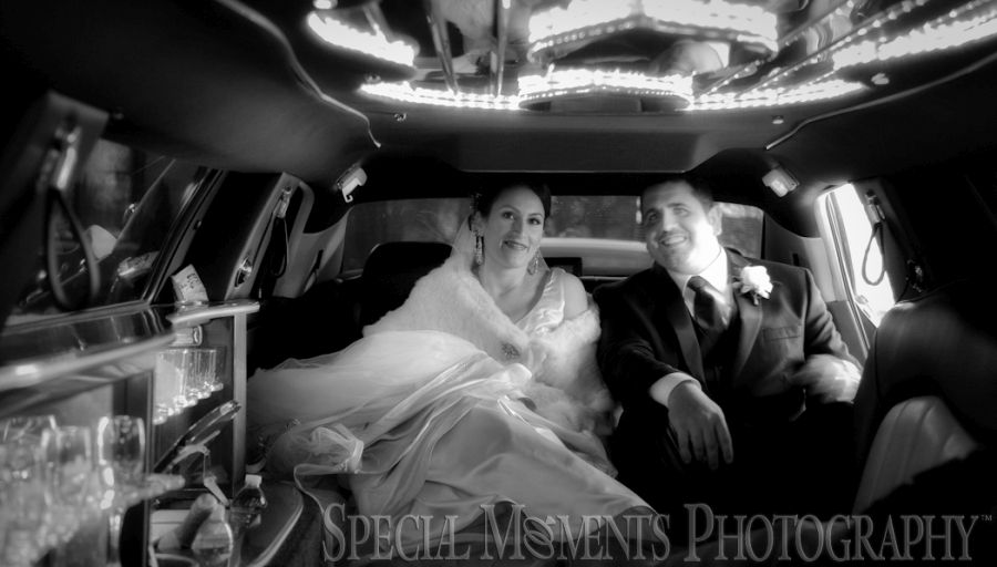 St. John's Resort Plymouth MI wedding photograph