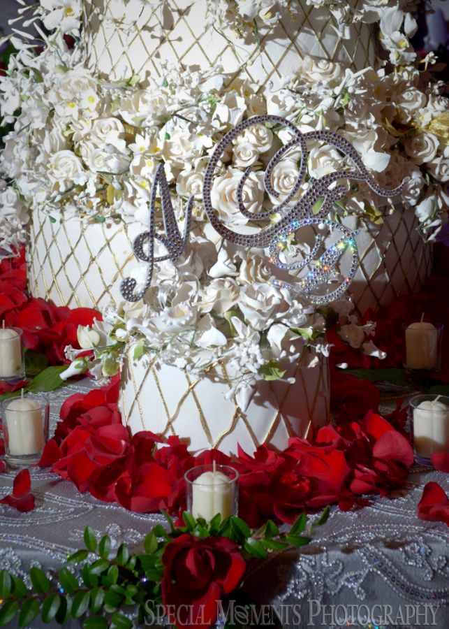 Penna's Sterling Heights MI wedding photograph