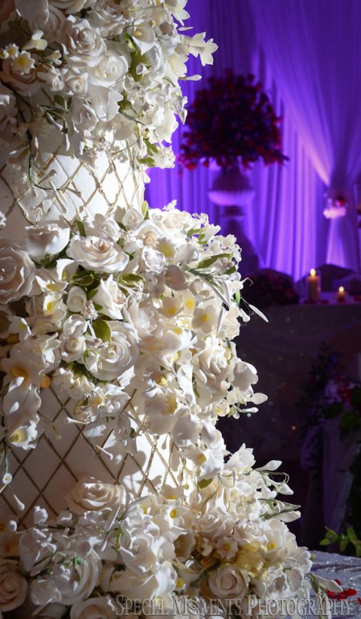 Penna's Sterling Heights MI wedding photograph
