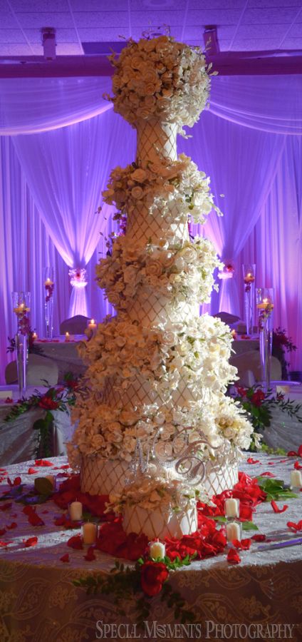 Penna's Sterling Heights MI wedding photograph
