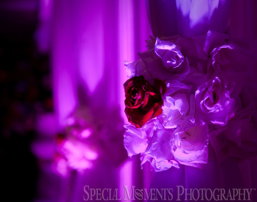 Penna's Sterling Heights MI wedding photograph