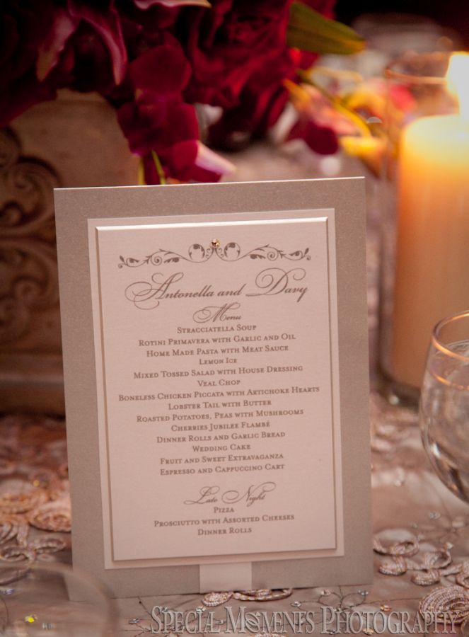 Penna's Sterling Heights MI wedding photograph