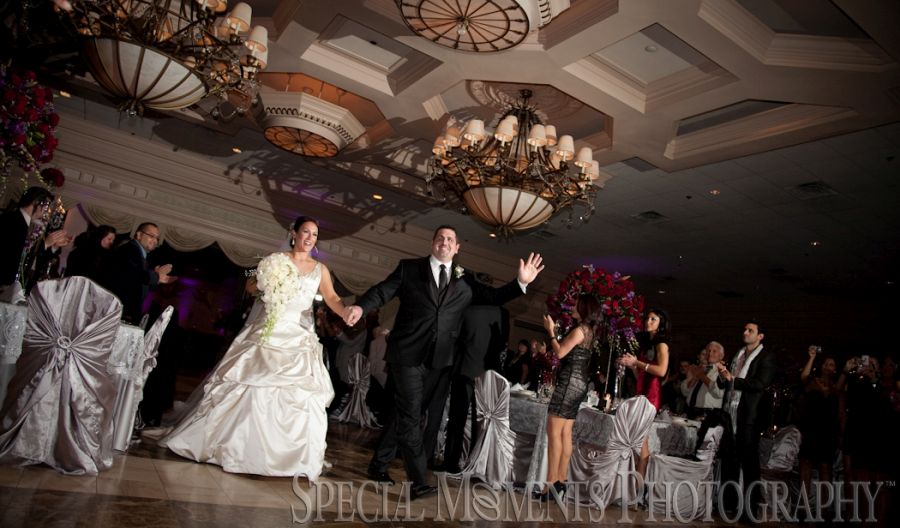 Penna's Sterling Heights MI wedding photograph