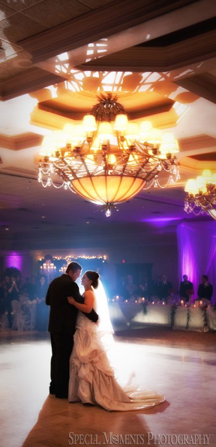 Penna's Sterling Heights MI wedding photograph