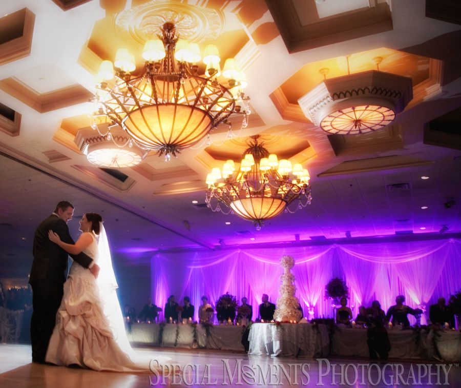 Penna's Sterling Heights MI wedding photograph
