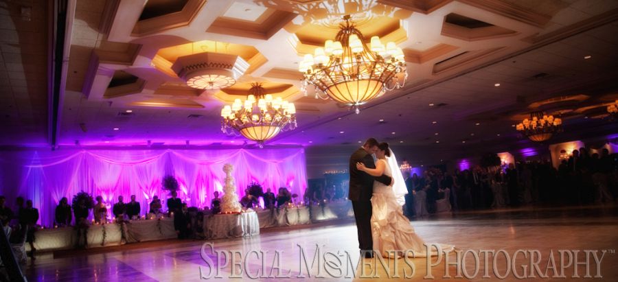 Penna's Sterling Heights MI wedding photograph