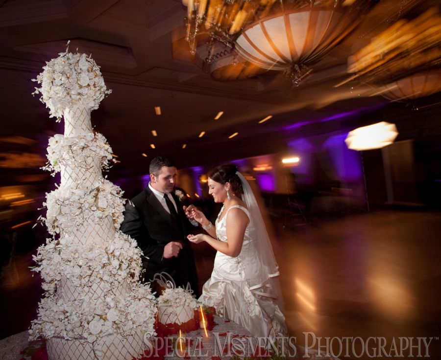 Penna's Sterling Heights MI wedding photograph