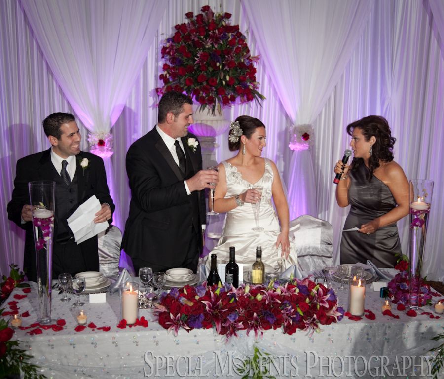 Penna's Sterling Heights MI wedding photograph