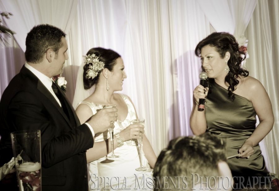 Penna's Sterling Heights MI wedding photograph