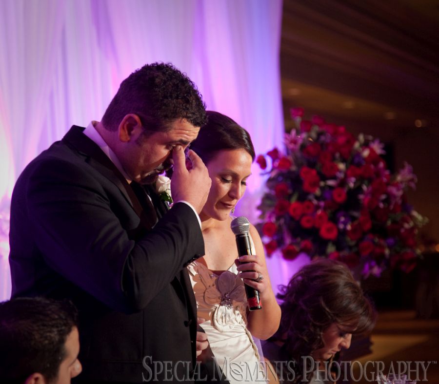 Penna's Sterling Heights MI wedding photograph