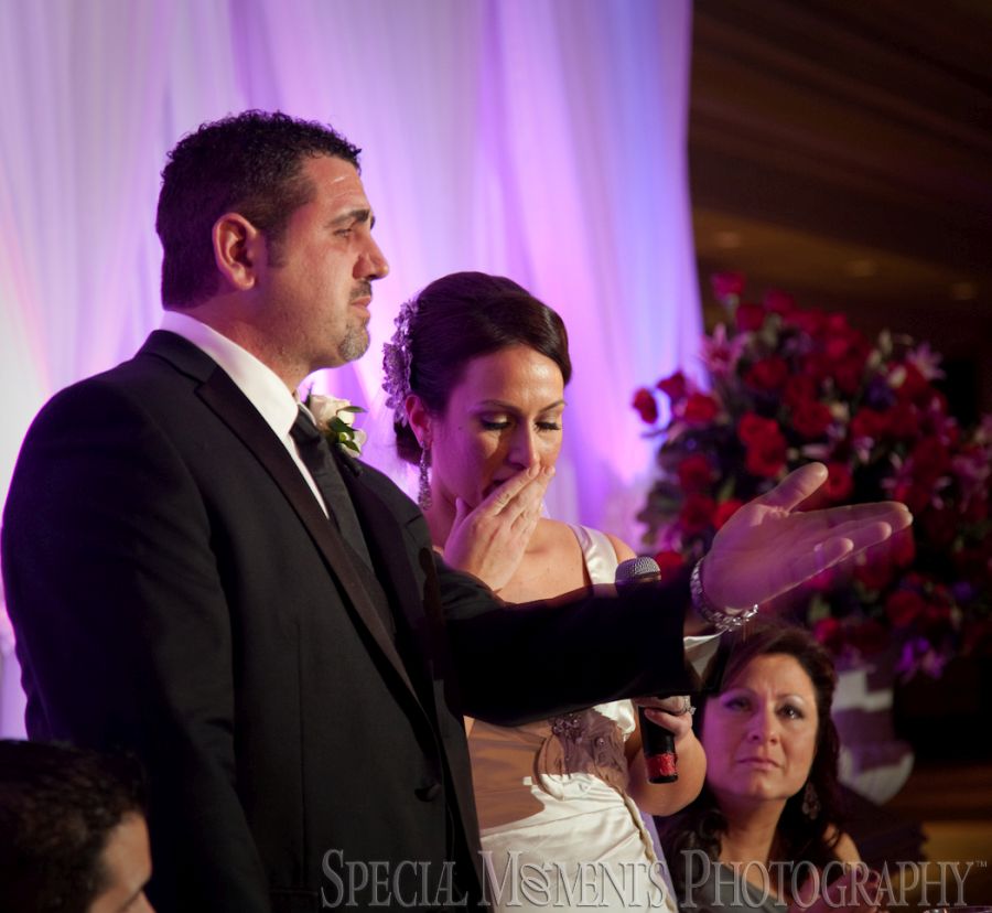 Penna's Sterling Heights MI wedding photograph