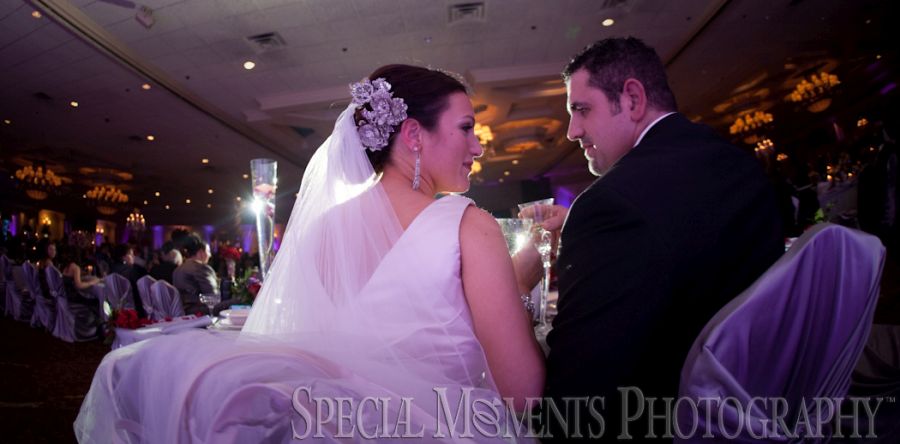 Penna's Sterling Heights MI wedding photograph