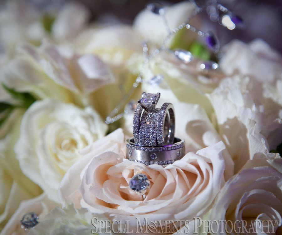 Penna's Sterling Heights MI wedding photograph