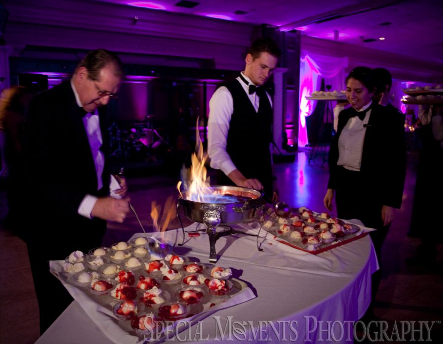 Penna's Sterling Heights MI wedding photograph