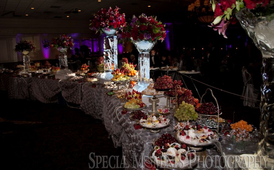 Penna's Sterling Heights MI wedding photograph