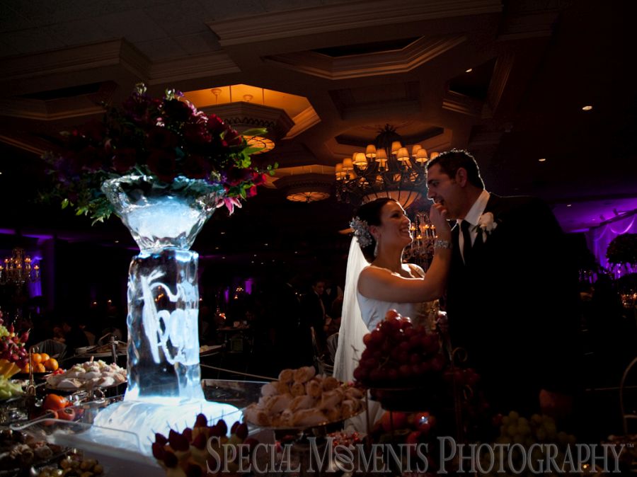 Penna's Sterling Heights MI wedding photograph