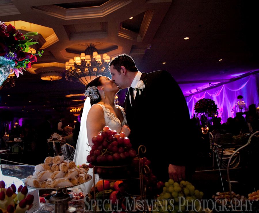 Penna's Sterling Heights MI wedding photograph