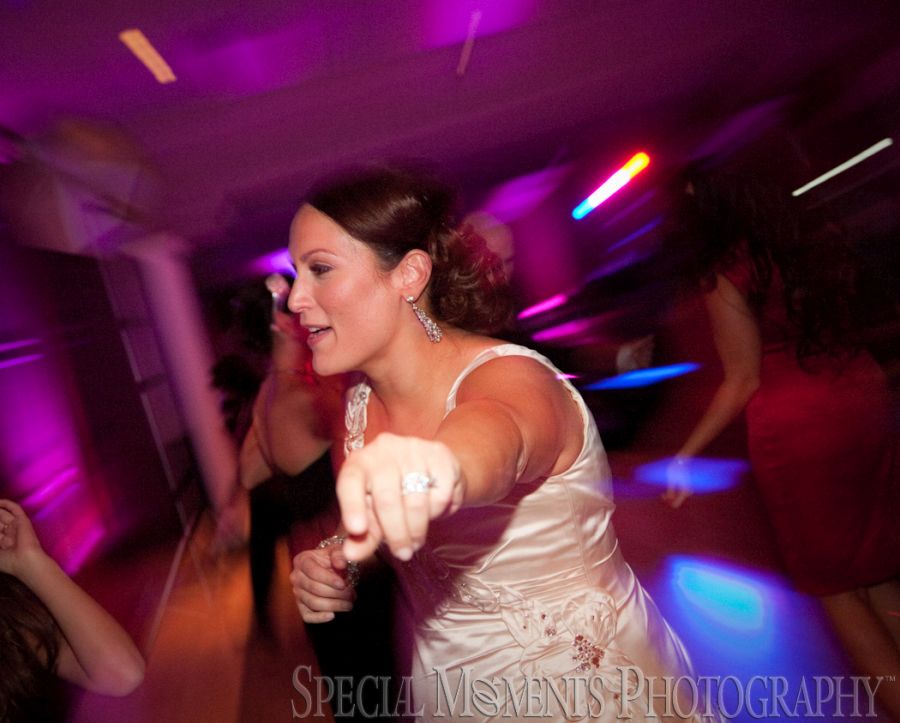 Penna's Sterling Heights MI wedding photograph