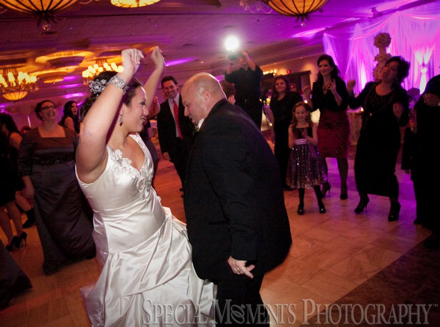 Penna's Sterling Heights MI wedding photograph