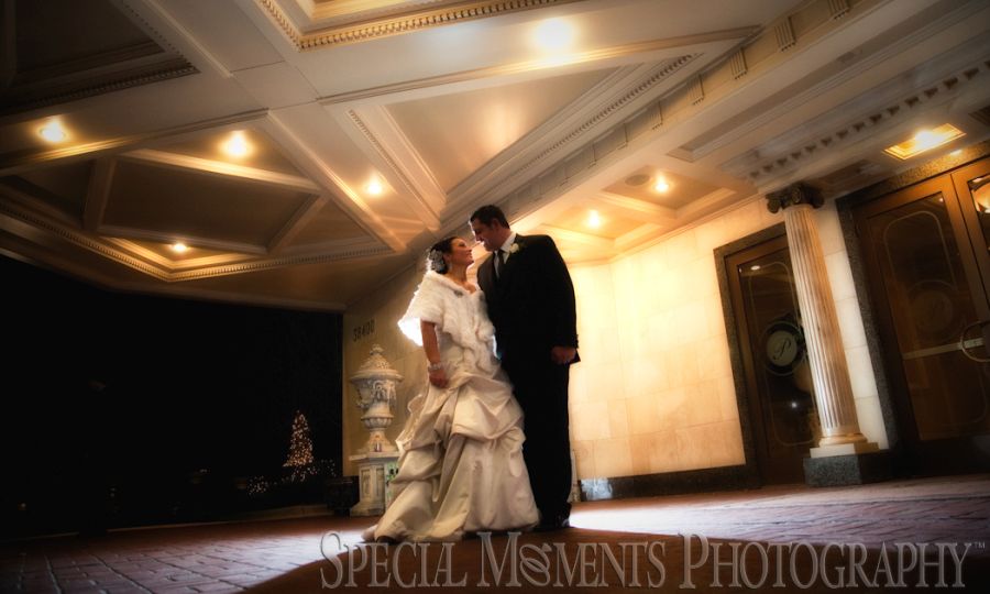 Penna's Sterling Heights MI wedding photograph