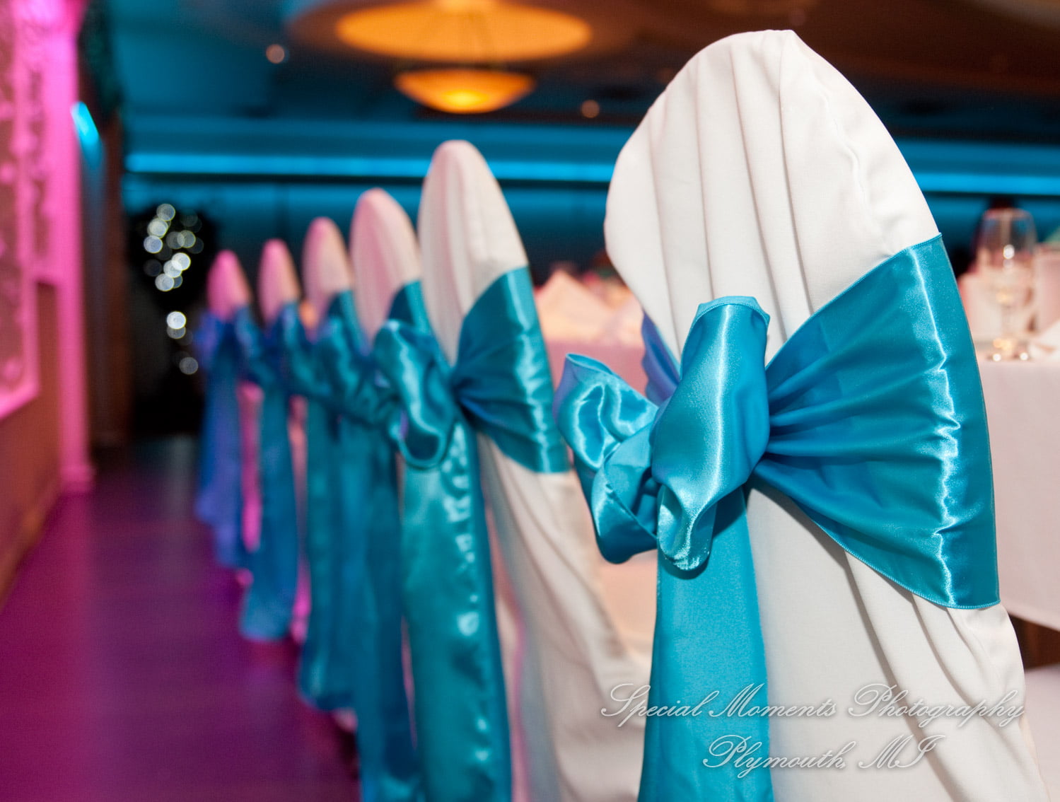 Arnaldo's Banquet Center Riverview MI wedding photograph