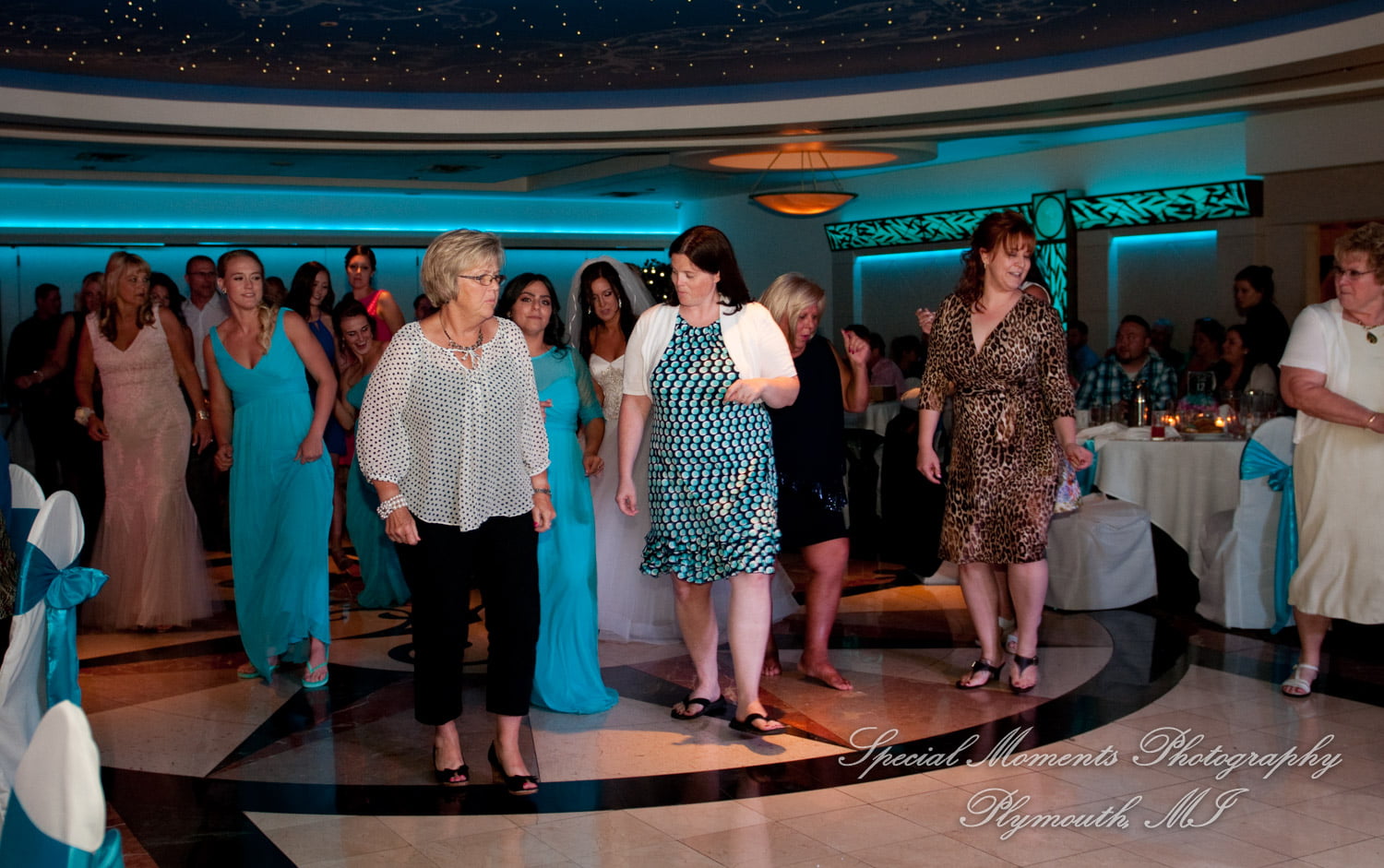 Arnaldo's Banquet Center Riverview MI wedding photograph