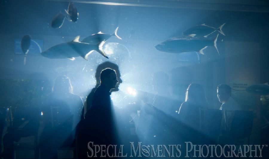 Toledo Zoo Toledo OH LGBT wedding photograph