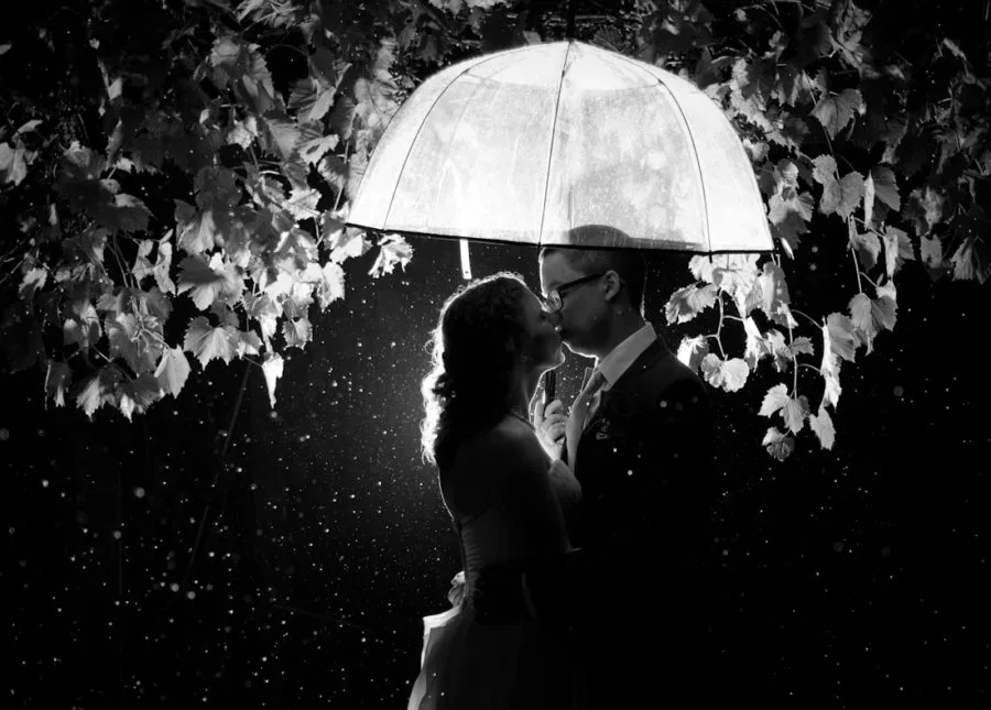 Sandhill Crane Vineyard Jackson MI wedding photograph