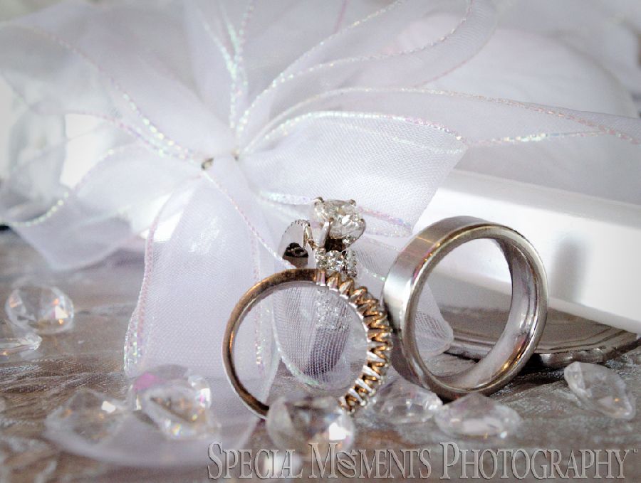 Roostertail Distinctive Catering Detroit MI wedding photograph