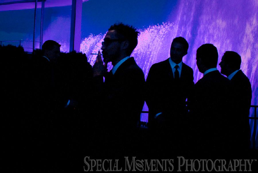 Roostertail Distinctive Catering Detroit MI wedding photograph