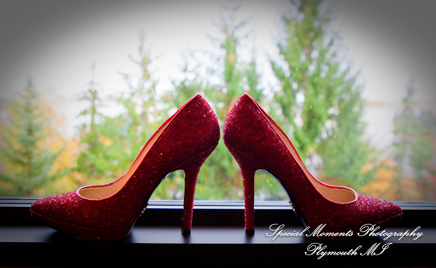 Embassy Suites by Hilton Auburn Hills MI wedding photograph
