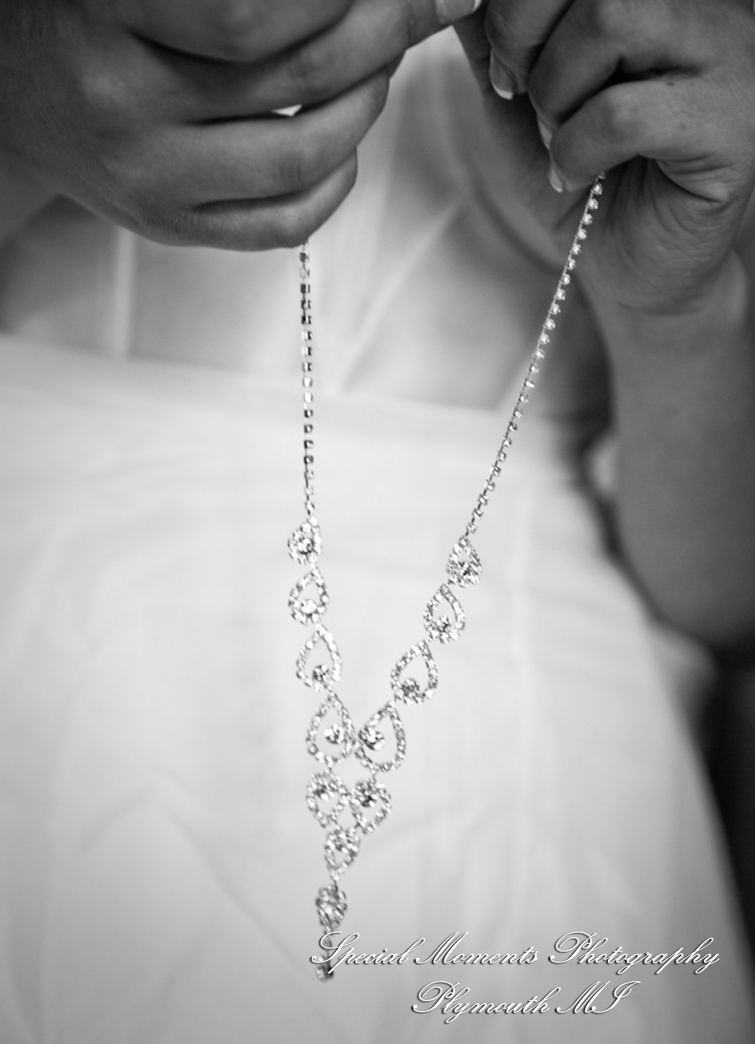 Alexandra & Jon at Stony Creek Metropark Shelby Twp MI wedding photography