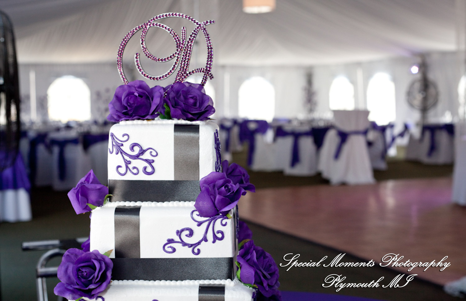 Alexandra & Jon at Stony Creek Metropark Shelby Twp MI wedding photography